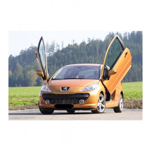LSD Doors για Peugeot 207
